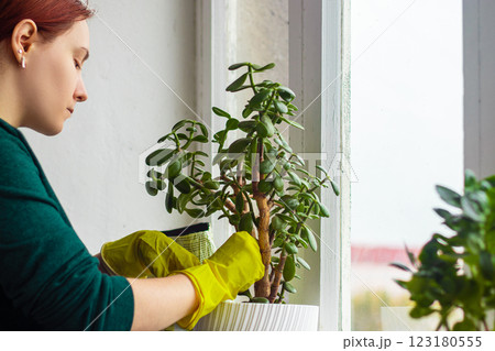 Woman in yellow rubber gloves is gardening. 123180555