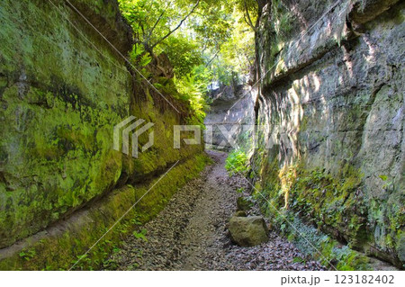 【鎌倉市】長窪の切通し(高野の切通し) 【鎌倉市】長窪の切通し(高野の切通し) 123182402
