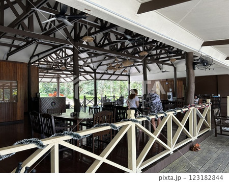 The Kinabatangan river is one of the best and most easily accessible places to see wildlife in Asia! Including so much of Sabah's most sought after wildlife: Orang-utans, proboscis monkeys. 123182844