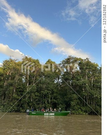 The Kinabatangan river is one of the best and most easily accessible places to see wildlife in Asia! Including so much of Sabah's most sought after wildlife: Orang-utans, proboscis monkeys. The Kinabatangan river is one of the best and most easily accessible places to see wildlife in Asia! Including so much of Sabah's most sought after wildlife: Orang-utans, proboscis monkeys. 123182882