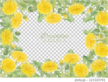 水彩手繪蒲公英花向量插圖框架 123183791