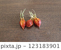 くちなしの実（横） 123183901