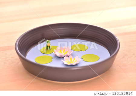 わが家のミニ蓮池 123183914