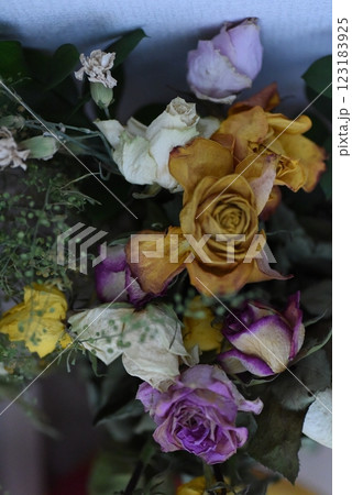 最盛期を過ぎても保ち続ける花 123183925