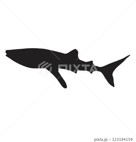 Silhouette Whale Shark Silhouette Whale Shark 123184159