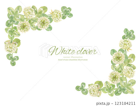 水彩で描いた水彩クローバーとシロツメグサの背景フレーム 123184211