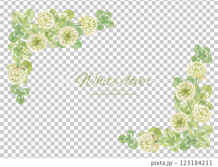水彩三葉草和白三葉草的背景框架畫在水彩畫裡 123184211