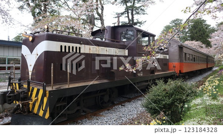 桜のトンネルを走る列車 津軽鉄道旧芦野公園駅 桜のトンネルを走る列車 津軽鉄道旧芦野公園駅 123184328