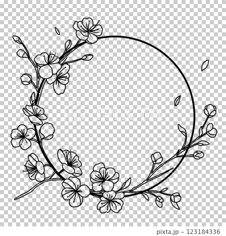 Cherry flower blossom Frame Wreath, botanical art. Spring almond, sakura, branch, hand draw doodle line art illustration. black ink art, isolated on white background. Realistic floral bloom sketch. 123184336
