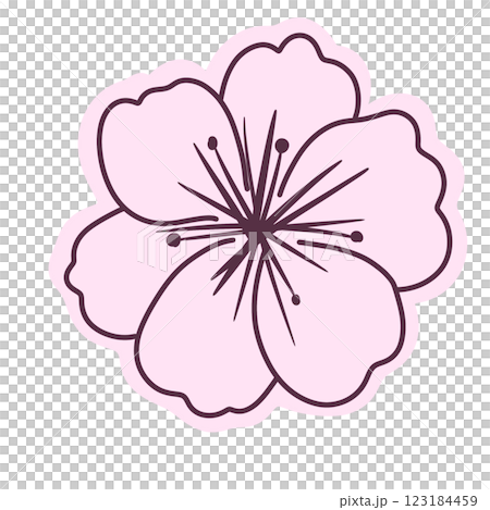 Cherry flower blossom, botanical art. Spring almond, sakura, branch, hand draw doodle line art illustration. colored black ink art, isolated on white background. Realistic floral bloom sketch. Cherry flower blossom, botanical art. Spring almond, sakura, branch, hand draw doodle line art illustration. colored black ink art, isolated on white background. Realistic floral bloom sketch. 123184459