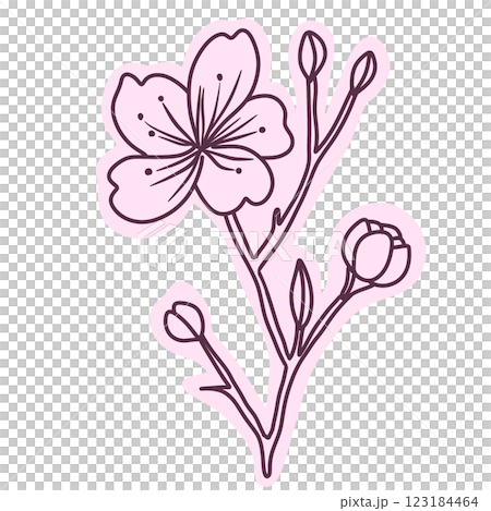 Cherry flower blossom, botanical art. Spring almond, sakura, branch, hand draw doodle line art illustration. colored black ink art, isolated on white background. Realistic floral bloom sketch. Cherry flower blossom, botanical art. Spring almond, sakura, branch, hand draw doodle line art illustration. colored black ink art, isolated on white background. Realistic floral bloom sketch. 123184464