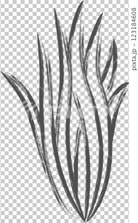 野菜筆書き単品イラスト　ニラ 123184608