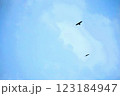 空を飛ぶ鳥 123184947