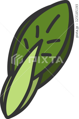 カラー野菜単品アイコン 小松菜 カラー野菜単品アイコン 小松菜 123185193