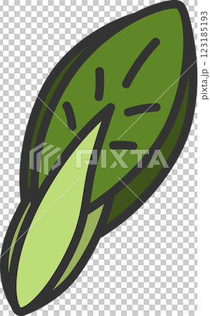 カラー野菜単品アイコン 小松菜 カラー野菜単品アイコン 小松菜 123185193