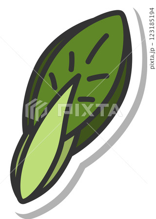 ステッカー風野菜単品アイコン 小松菜 ステッカー風野菜単品アイコン 小松菜 123185194
