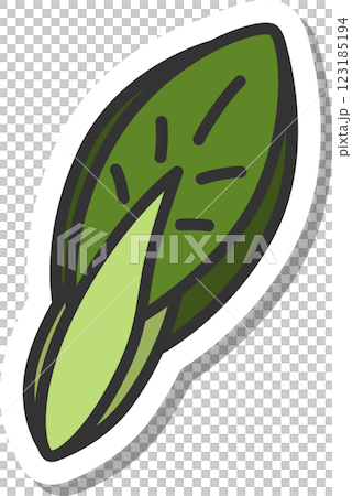 ステッカー風野菜単品アイコン 小松菜 ステッカー風野菜単品アイコン 小松菜 123185194