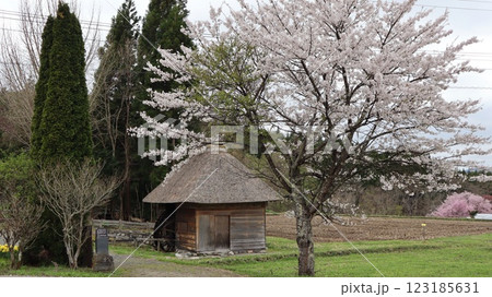 水車小屋と桜　山口の水車小屋　遠野市 123185631