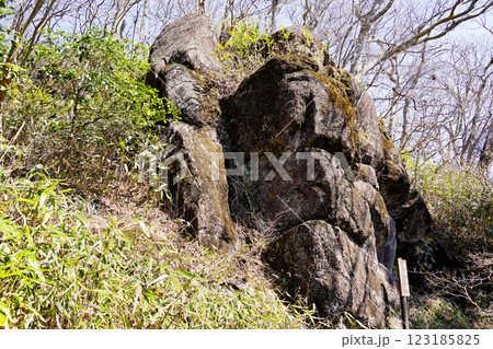 裏面大黒 123185825