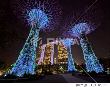 シンガポール ガーデン・ラプソディーのナイトショー 123185960