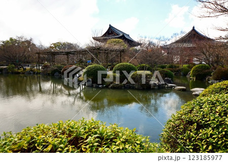 京都府 東寺・庭園 瓢箪池 京都市 南区 九条町 2022年2月 京都府 東寺・庭園 瓢箪池 京都市 南区 九条町 2022年2月 123185977