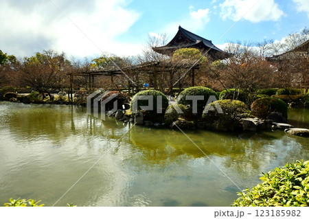 京都府 東寺・庭園 瓢箪池 京都市 南区 九条町 2022年2月 京都府 東寺・庭園 瓢箪池 京都市 南区 九条町 2022年2月 123185982