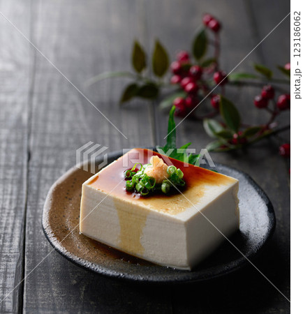 冷や奴 ( 絹ごし豆腐 )黒背景 冷や奴 ( 絹ごし豆腐 )黒背景 123186062