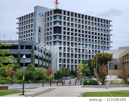 浦安市役所 123186188