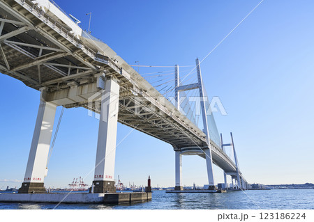大黒埠頭から見上げる横浜ベイブリッジ 大黒埠頭から見上げる横浜ベイブリッジ 123186224