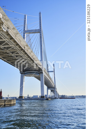 大黒埠頭から見上げる横浜ベイブリッジ 大黒埠頭から見上げる横浜ベイブリッジ 123186229