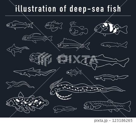 深海魚の手描きイラストセット 123186265