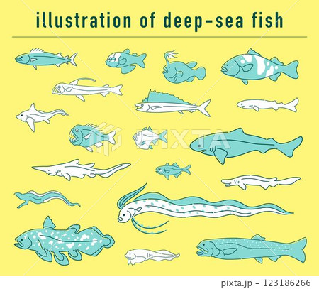 深海魚の手描きイラストセット 123186266