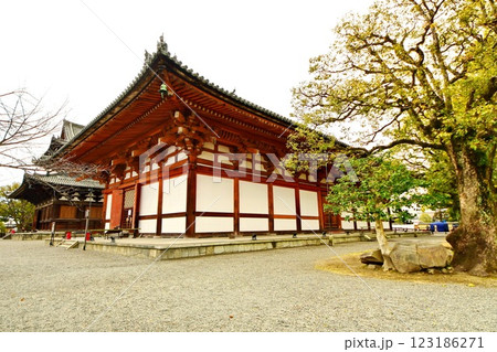 京都府　東寺・講堂（重要文化財） 京都市 南区 九条町　2022年2月 123186271