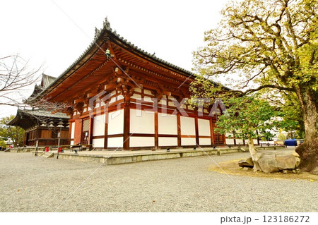 京都府　東寺・講堂（重要文化財） 京都市 南区 九条町　2022年2月 123186272