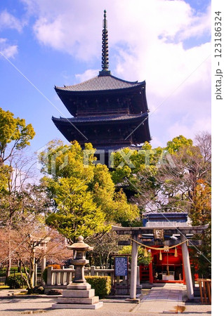 京都府　東寺・五重塔（国宝） 八島神社 八島社殿　京都市 南区 九条町　2022年2月 123186324