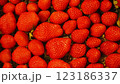 真っ赤なイチゴ 123186337