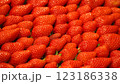 真っ赤なイチゴ 123186338