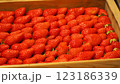 真っ赤なイチゴ 123186339