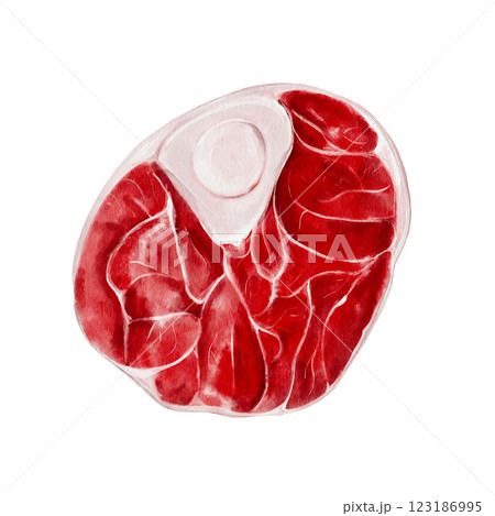 piece of meat. Watercolor illustration isolated on she. Red juicy piece of meat. Beef or lamb. Pork or horse meat. Picnic steak. fresh products. Restaurant menu and assortment in the store.  123186995
