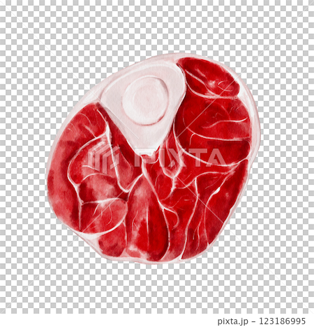 piece of meat. Watercolor illustration isolated on she. Red juicy piece of meat. Beef or lamb. Pork or horse meat. Picnic steak. fresh products. Restaurant menu and assortment in the store.  123186995