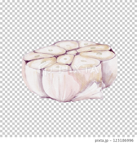 half garlic. the vegetable is cut in half. garlic cloves. seasoning and spice for food. ideal for pilaf. Watercolor illustration isolated from background. For restaurant menus, packaging and recipes.  123186996