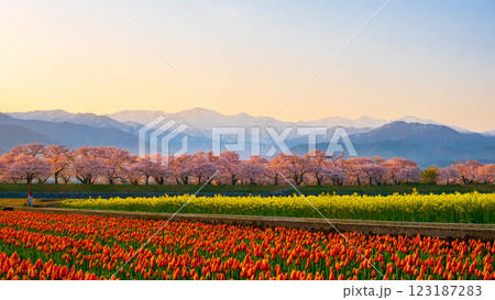 あさひ舟川・春の四重奏 123187283