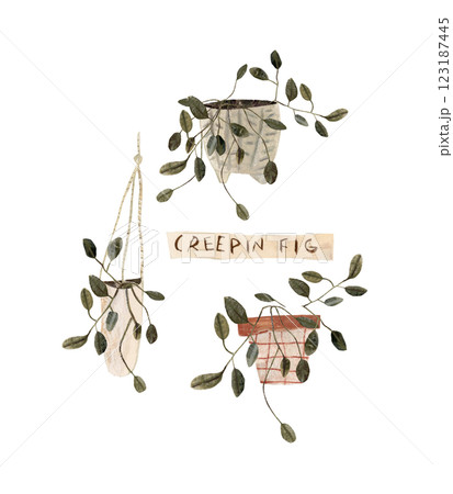 House plants in flowerpot watercolor set, collection of potted plant, cute flower plant illustration hand drawn in mixed media House plants in flowerpot watercolor set, collection of potted plant, cute flower plant illustration hand drawn in mixed media 123187445