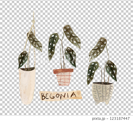 House plants in flowerpot watercolor set, collection of potted plant, cute flower plant illustration hand drawn in mixed media 123187447