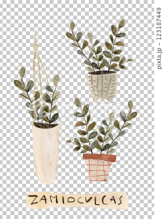 House plants in flowerpot watercolor set, collection of potted plant, cute flower plant illustration hand drawn in mixed media 123187449