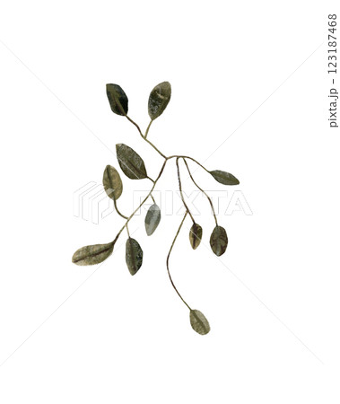 Set of simple green leaves, twigs, branches. Watercolor hand drawn isolated illustrations. Clipart botanical elements.  123187468