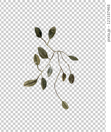 Set of simple green leaves, twigs, branches. Watercolor hand drawn isolated illustrations. Clipart botanical elements.  123187468