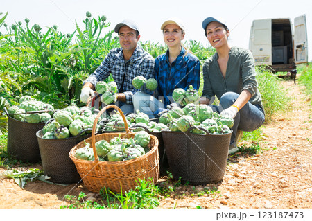Happy farmers posing with harvest of artichoke on field 123187473