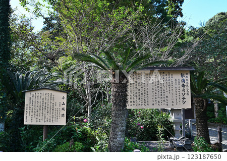 小山城 (遠江国) 模擬天守閣と三日月堀 小山城 (遠江国) 模擬天守閣と三日月堀 123187650