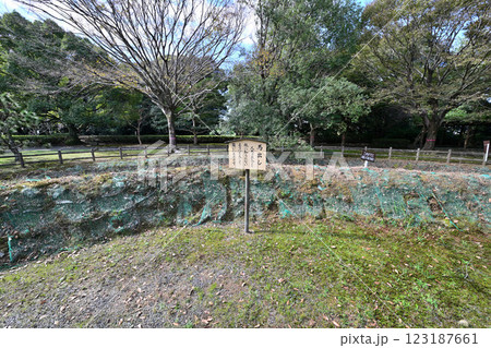 小山城 (遠江国) 模擬天守閣と三日月堀 小山城 (遠江国) 模擬天守閣と三日月堀 123187661